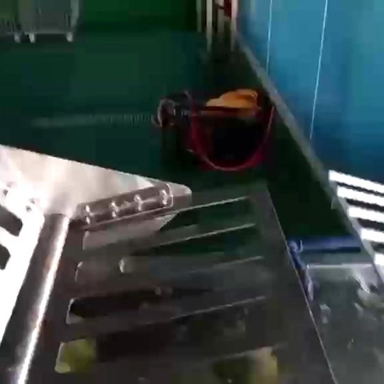 Whole young coconuts arriving at the plant