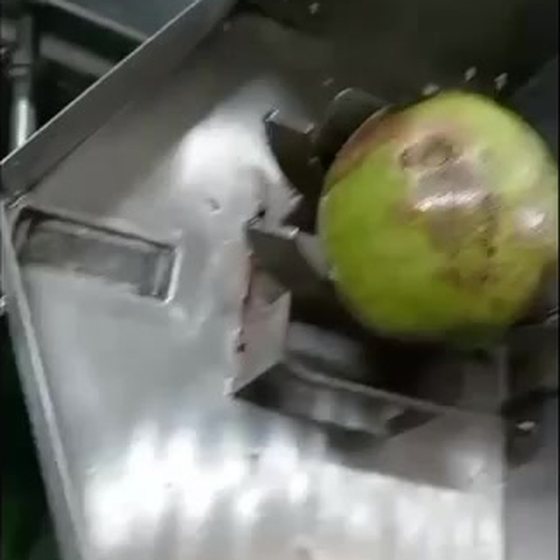 A coconut being opened by machine